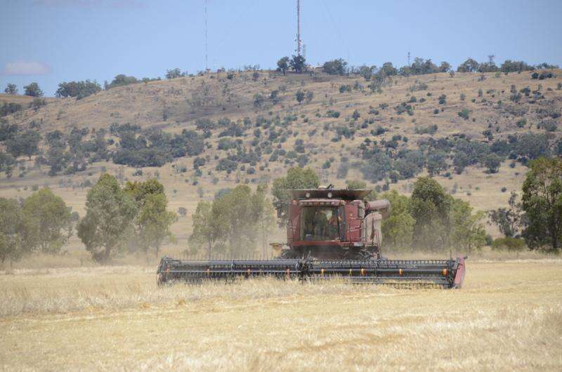 Global turbulence exposes risks for Aussie grains industry