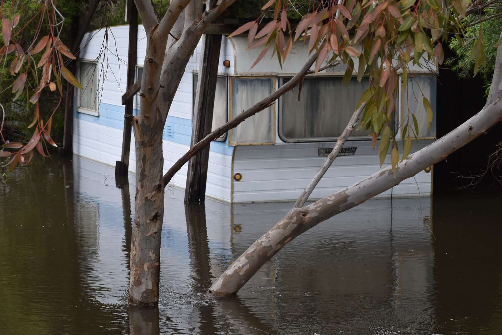 Murray River Council seeks local input | Deniliquin Pastoral Times