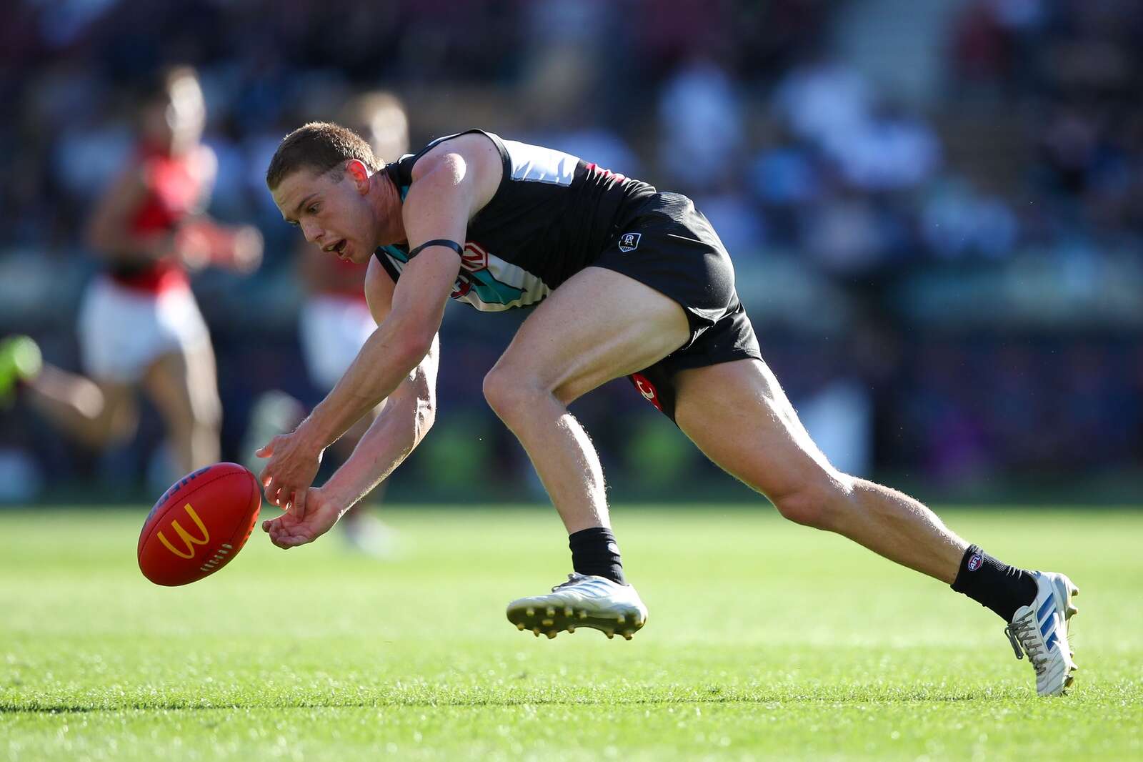 Berry lights up Adelaide Oval as Port notch first win of season ...