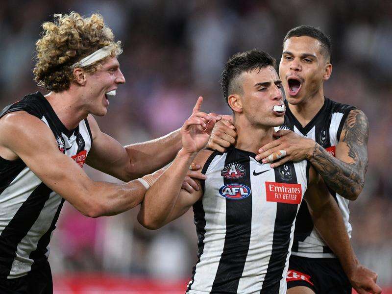 Snapshot of the AFL Anzac Day game at the MCG Dairy News Australia