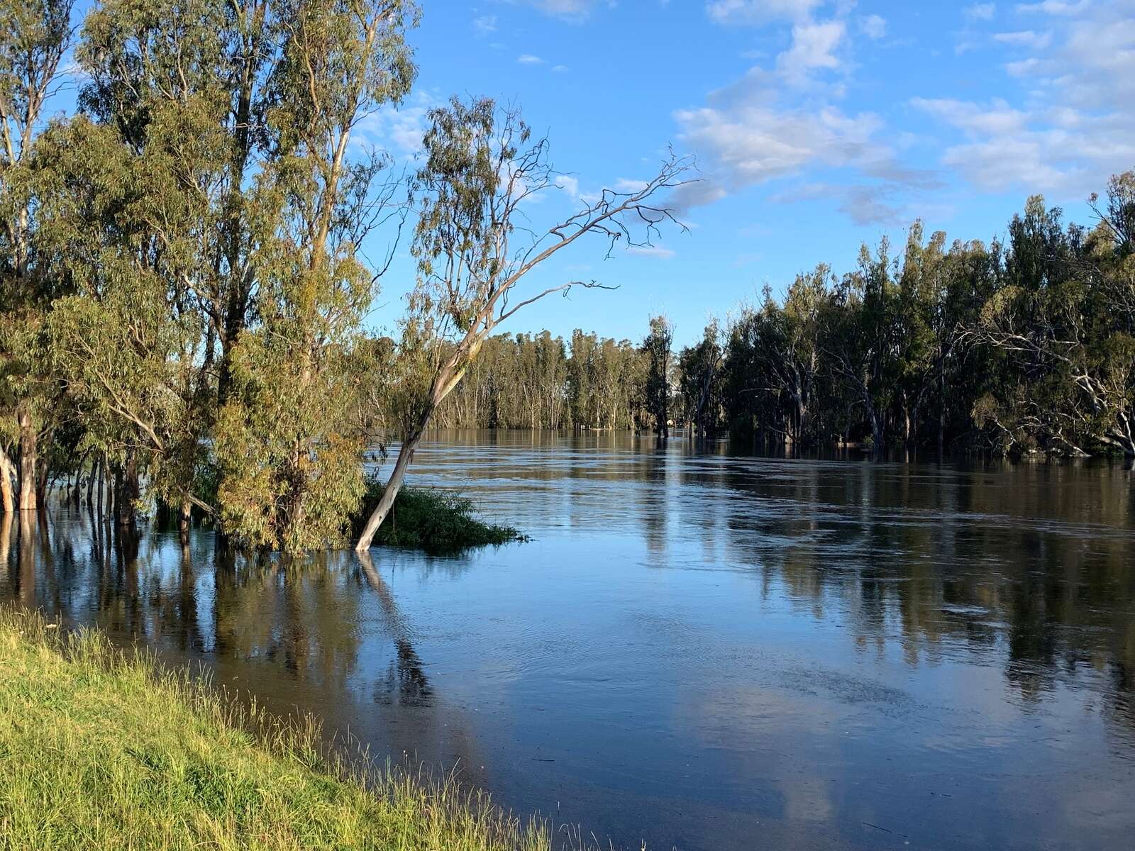 Region back on flood watch | Kyabram Free Press