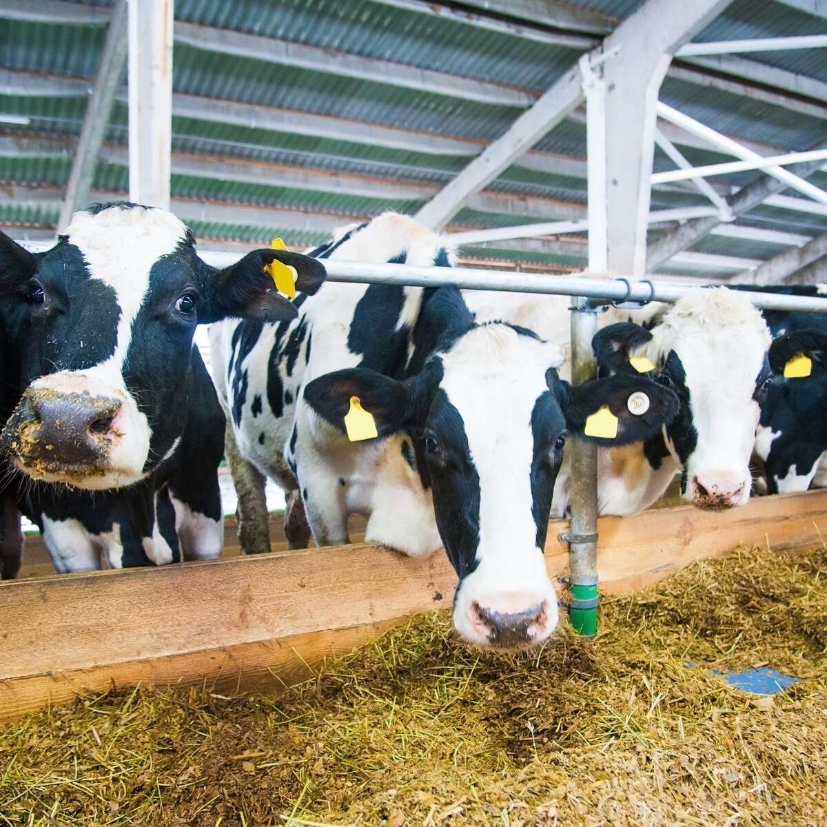 Avoiding high energy prices