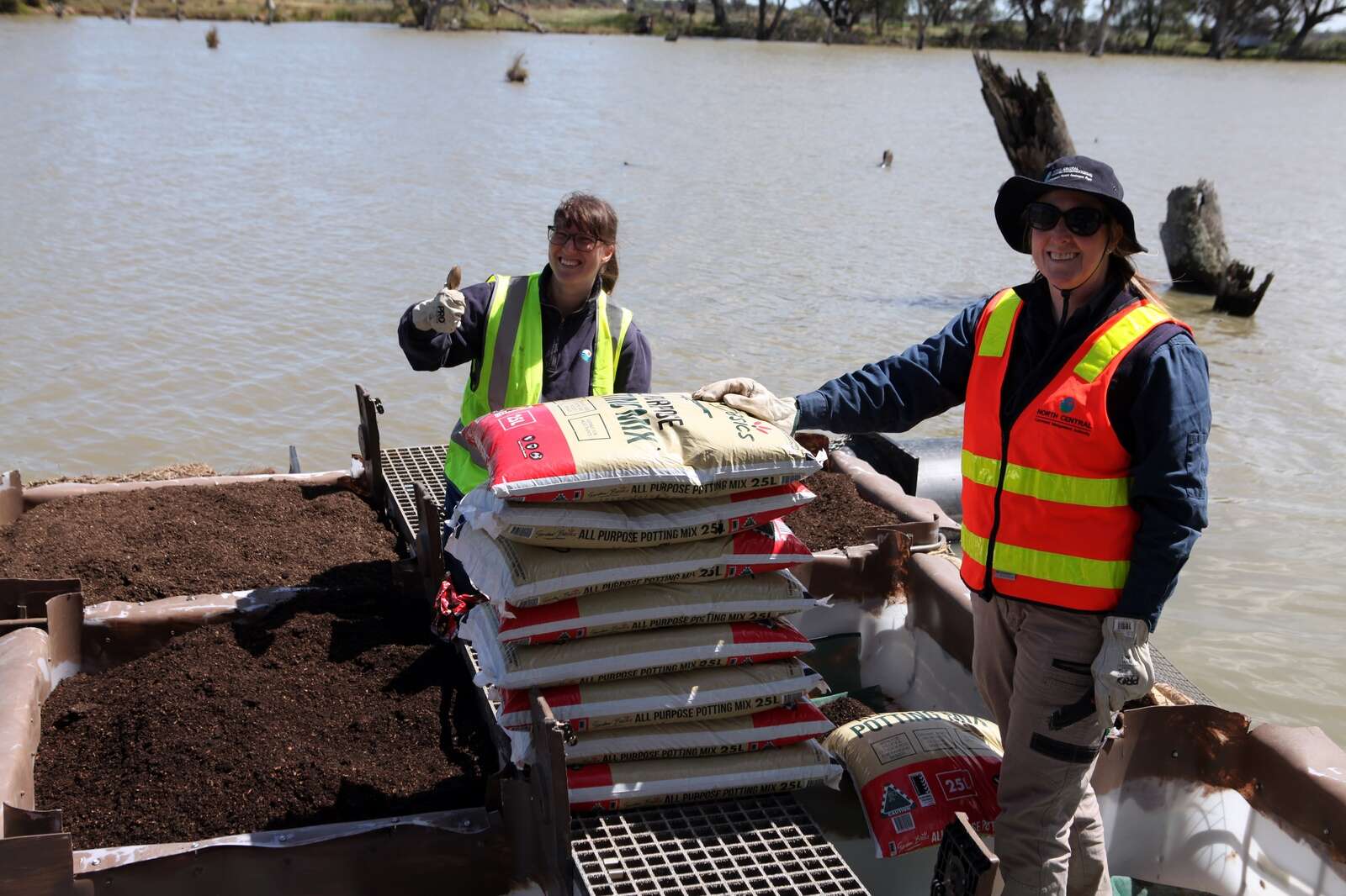 Turtle islands: a sanctuary against predators | Dairy News Australia