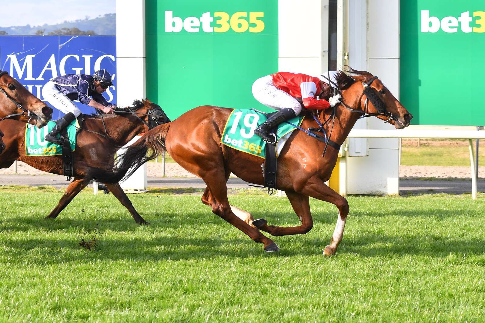 Seymour’s Hope Racing gears up for challenge | Riverine Herald