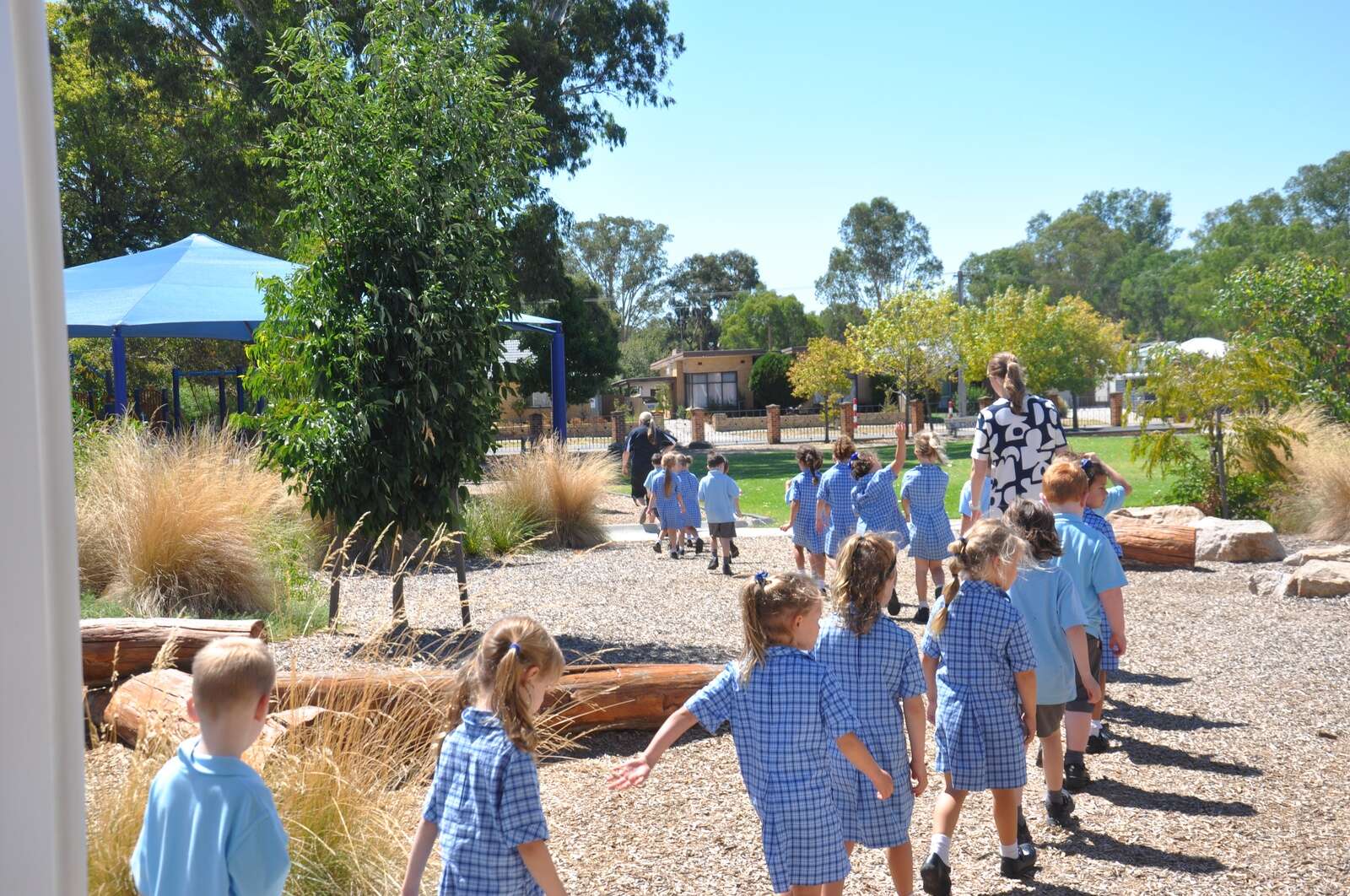 2025 Preps are ready for a lifetime of learning | Dairy News Australia