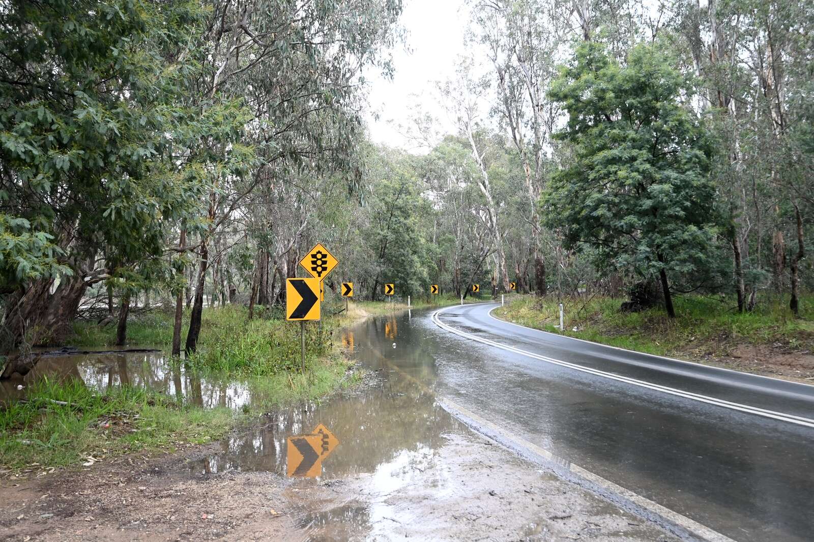 Weekend river level updates | Shepparton News