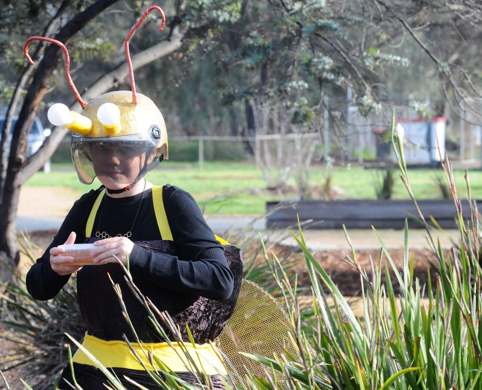 Busy little bees at Tongala Book Week parade Shepparton News