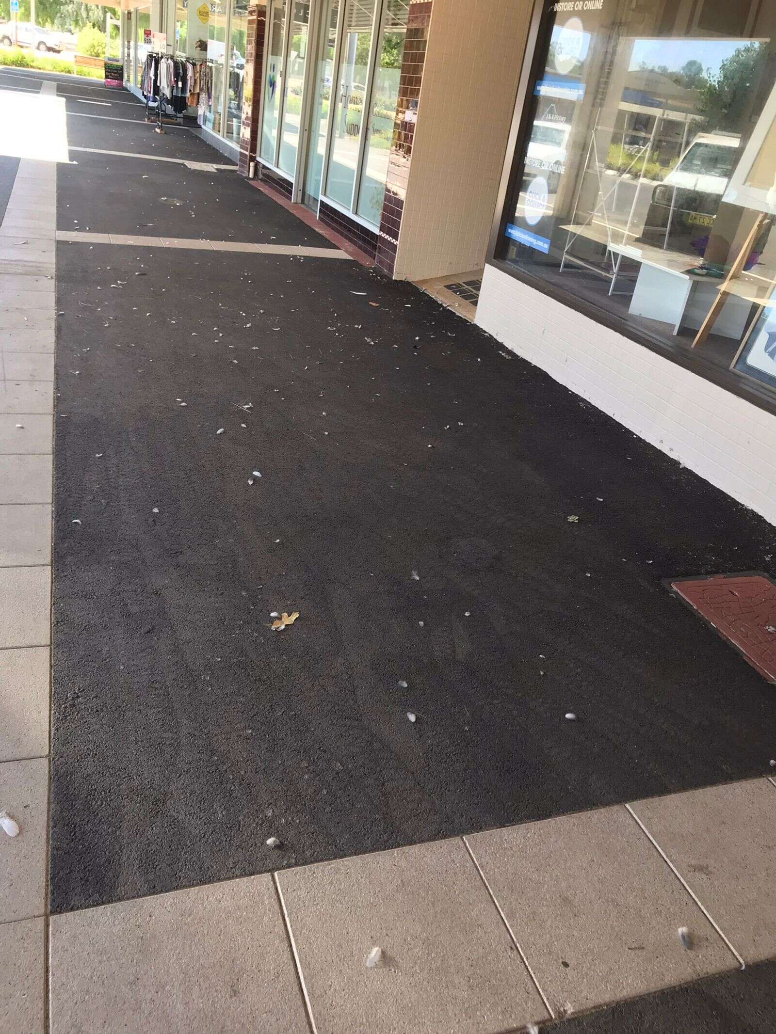 Businesses up in arms about ‘disgusting’ footpaths | Deniliquin ...