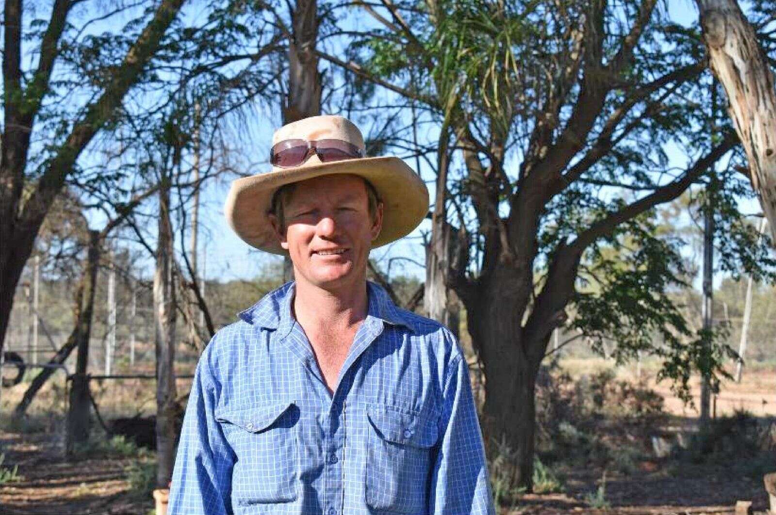 Counting sheep Country News