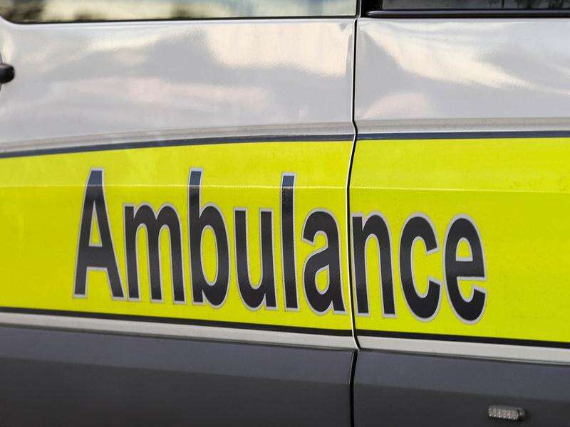 Man suffers suspected shark bite in far north Qld | Country News