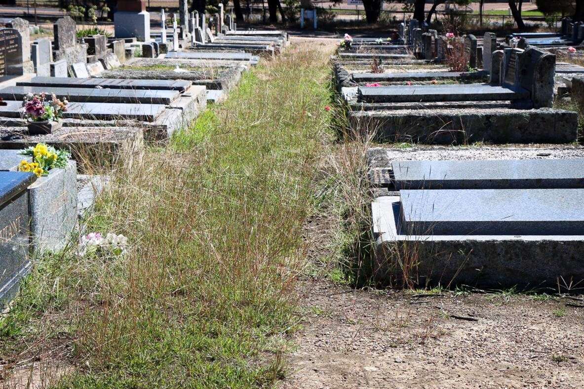 Maintenance issues at Seymour Cemetery Seymour Telegraph
