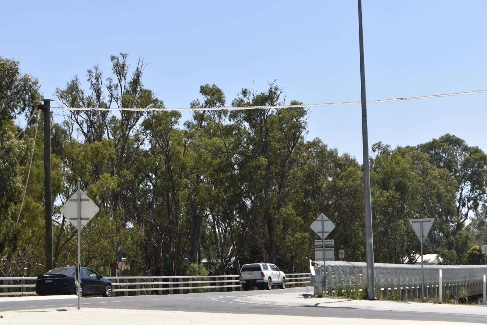 Rope crossings keeping squirrel gliders out of harm’s way in Echuca ...