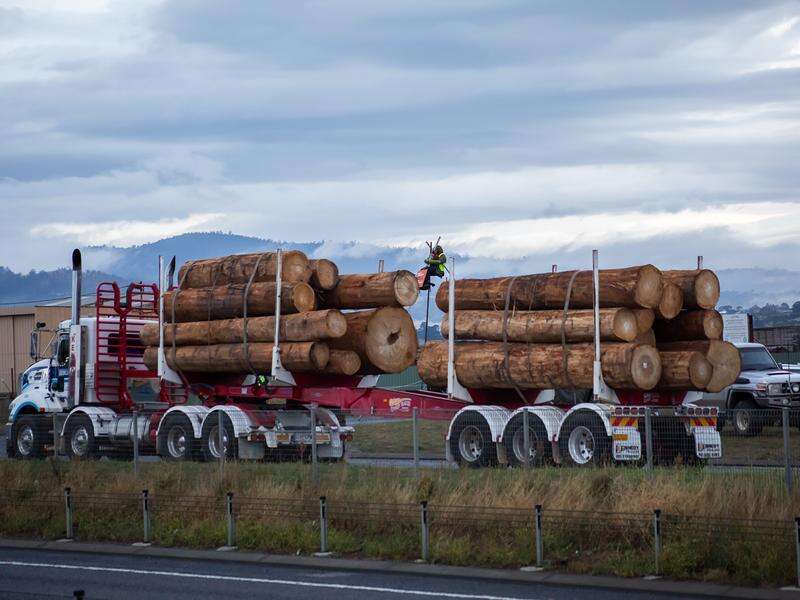 Alcoa mine clearing to supply scarce WA hardwood timber | Kyabram Free ...