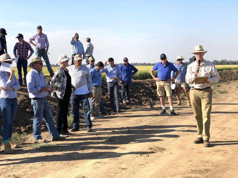 Celebrating Aussie rice | Southern Riverina News