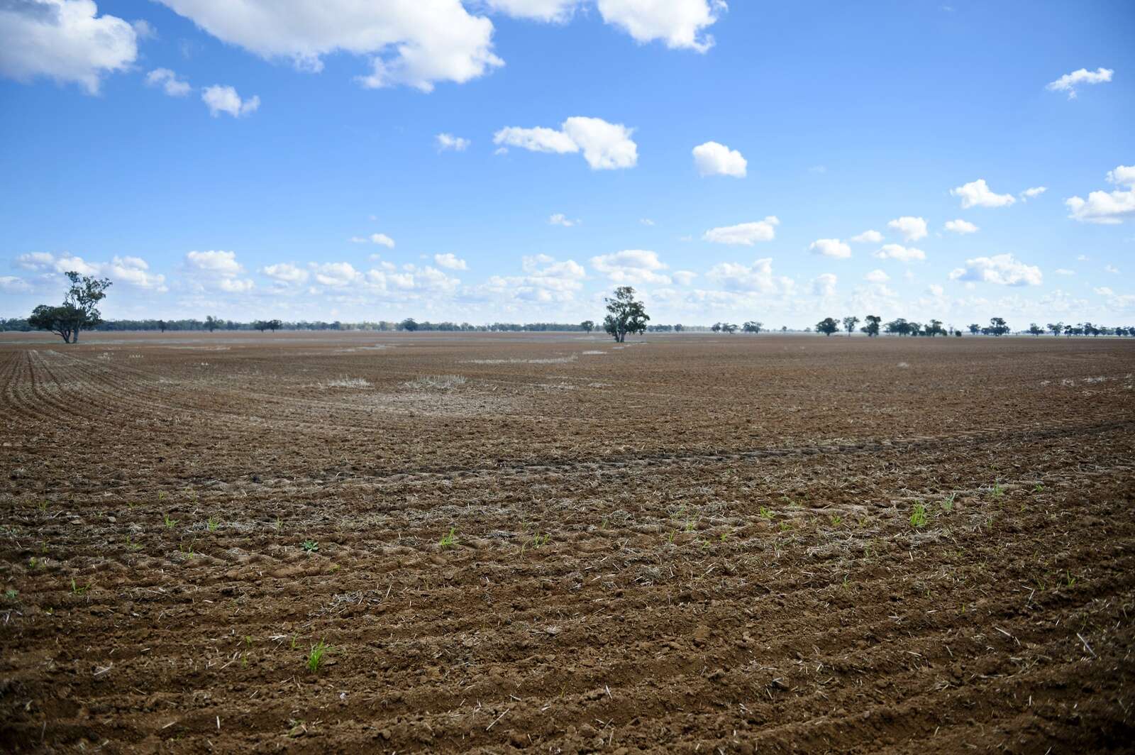 Unlocking potential in soil Seymour Telegraph