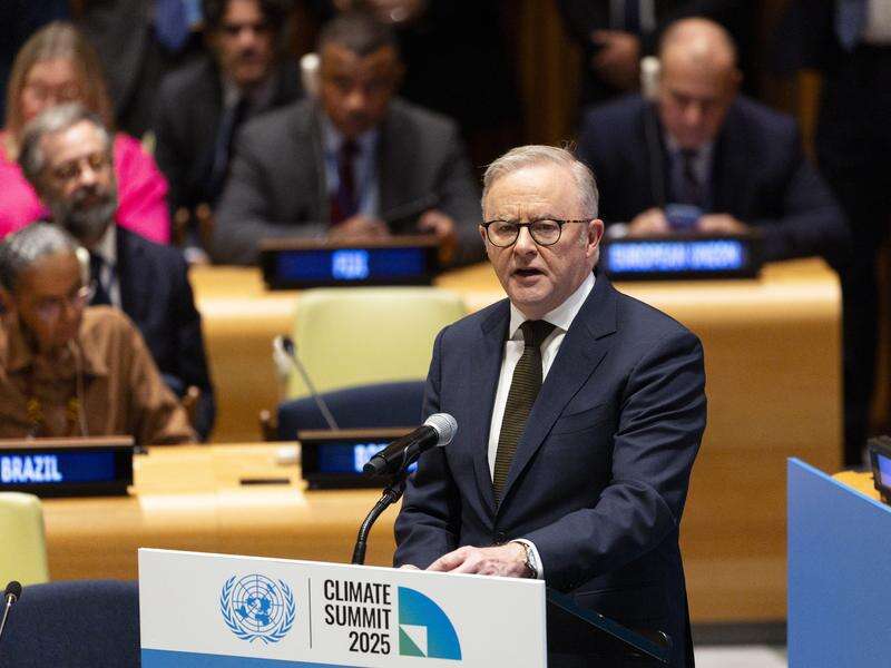 Albanese calls for global action amid US isolationism | Country News