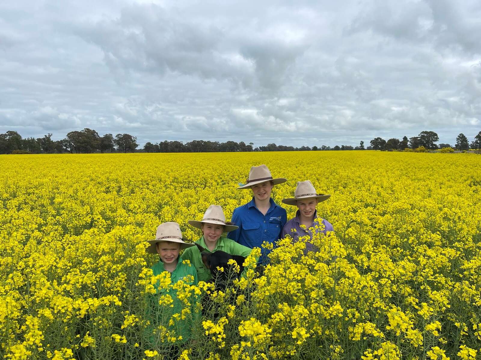 Huge harvest hat-trick forecast | Country News