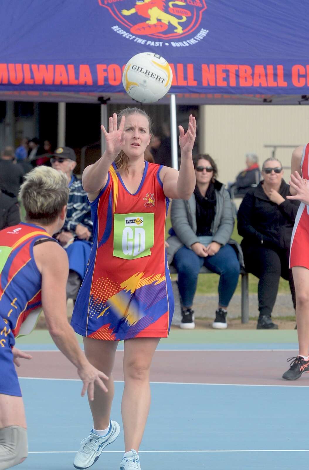 Lions strong day on court | Benalla Ensign