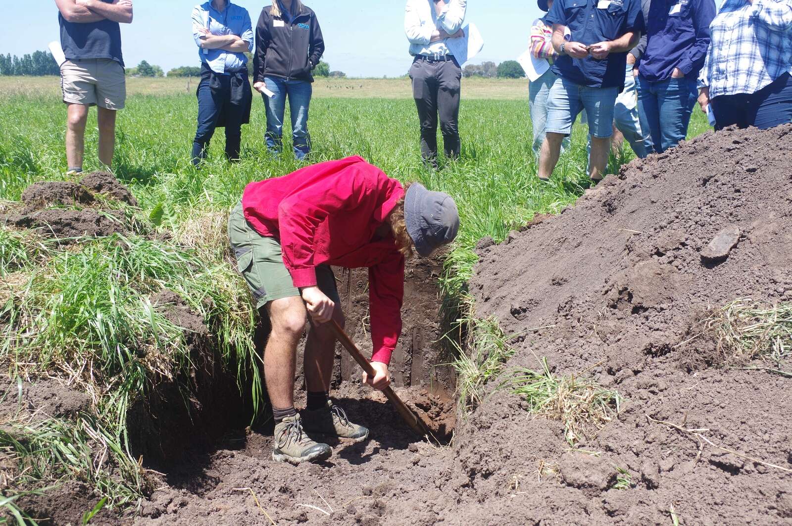Digging in for sustainability | Dairy News Australia