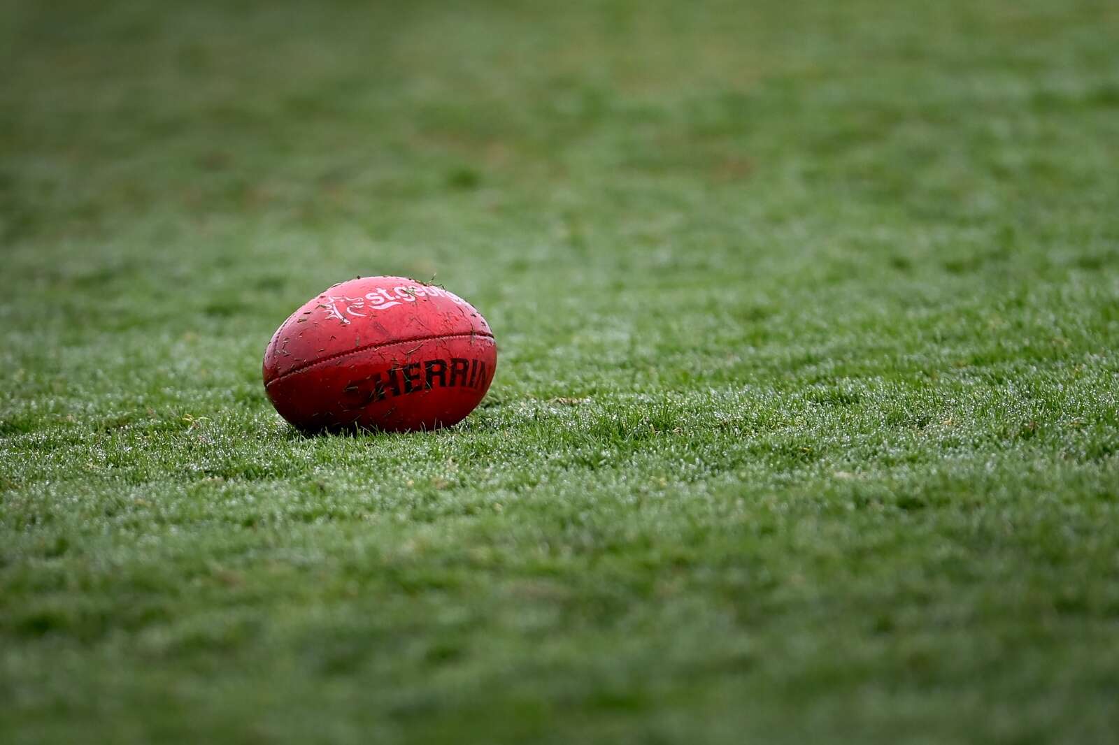 GVL Club Eyes PDFNL Talent? Talks Confirmed, But President Plays Down Interest