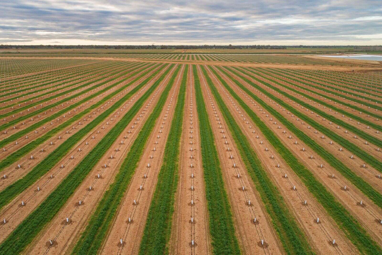 Major Katunga farm sale Country News