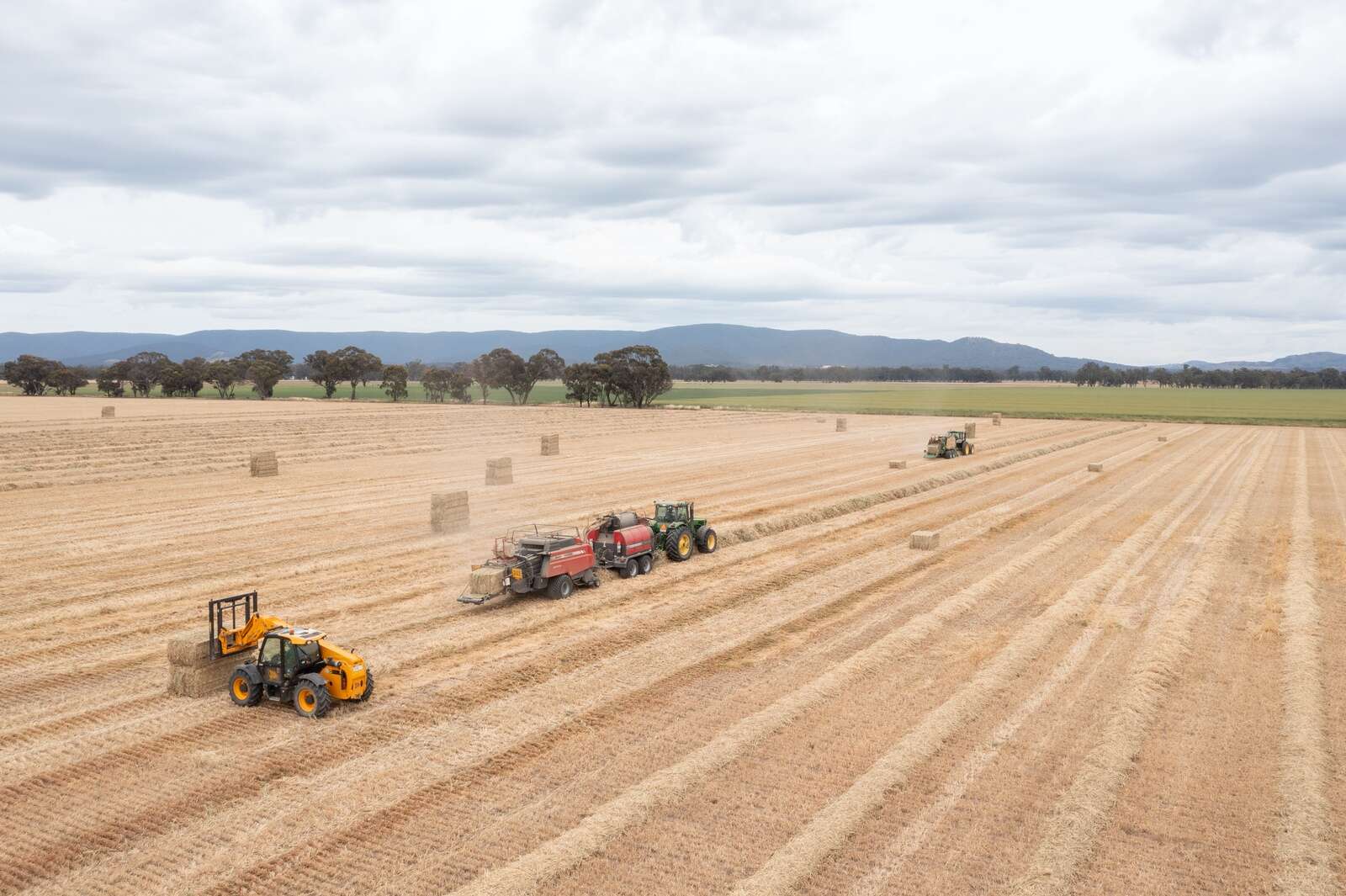 Science opens hay industry options | Country News