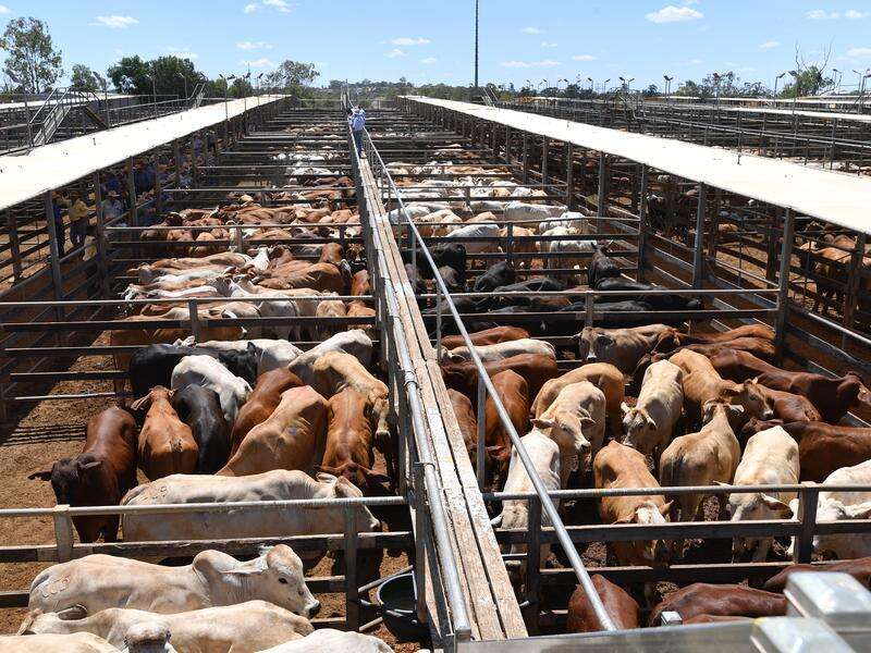 Australia Lifts Decade-Long Ban on US Beef Imports