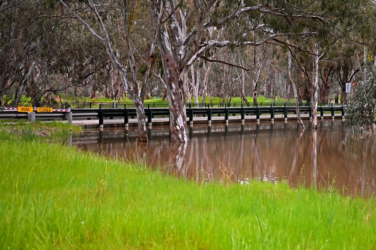 Flooding no longer expected in Seven and Castle creeks Shepparton News