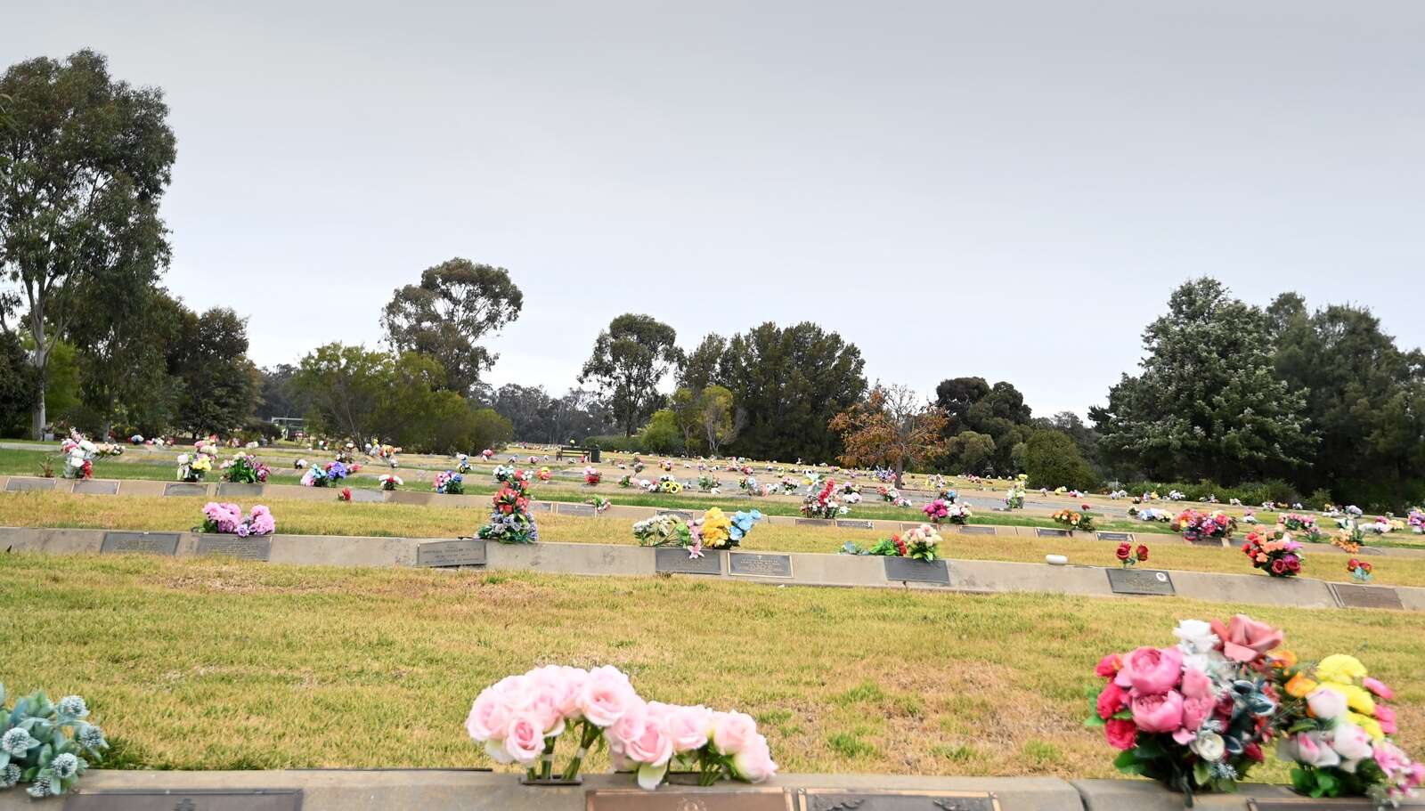 Costs set to rise at Pine Lodge and Kialla West cemeteries | Dairy News ...
