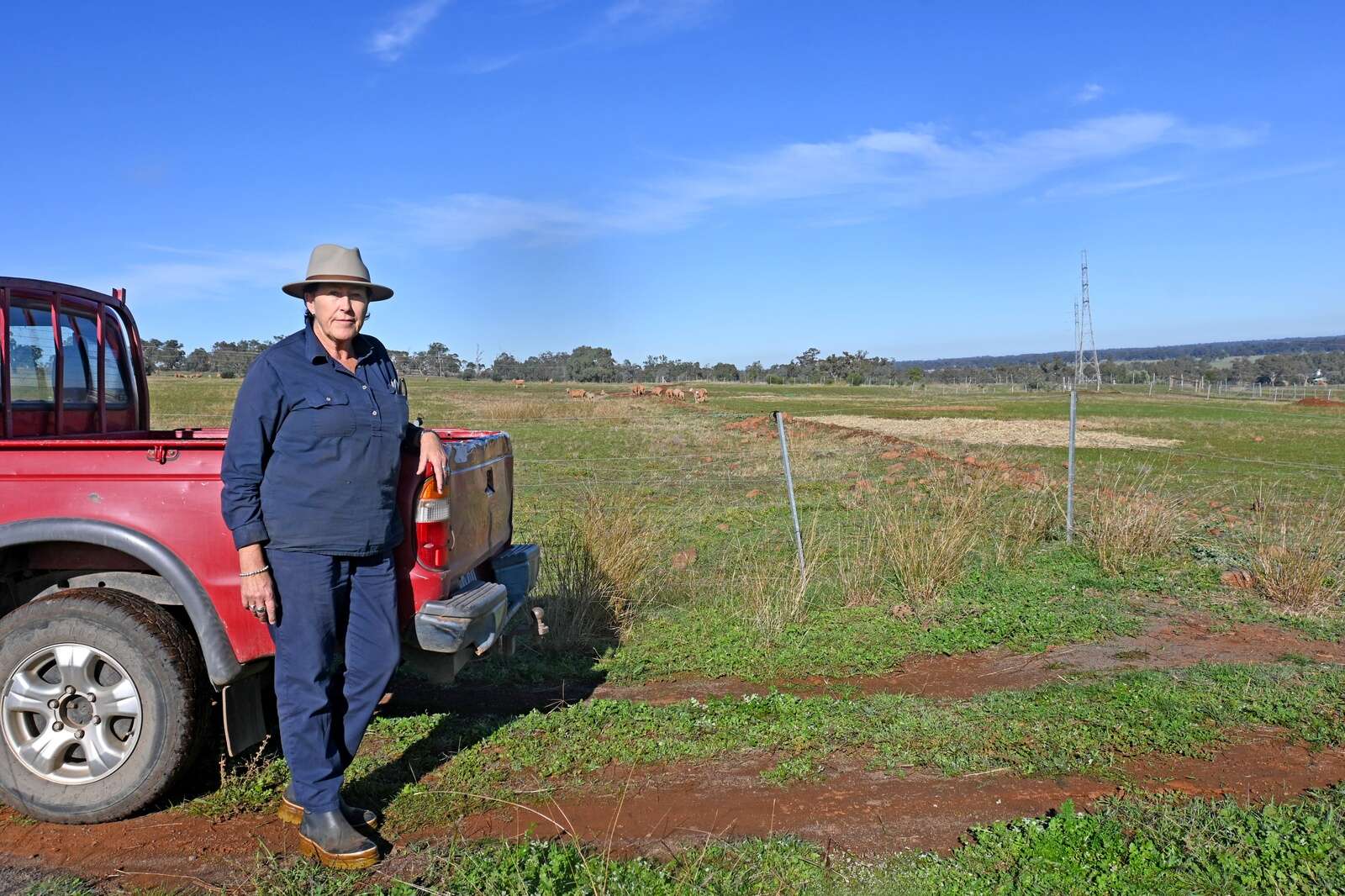 Farming with nature, not against it