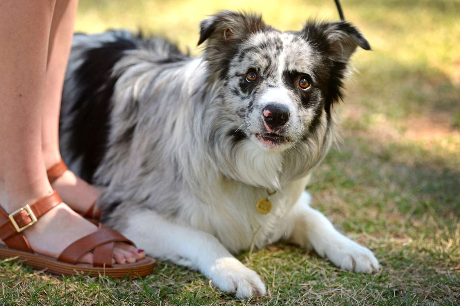 GALLERY: Our favourite furry, woolly, feathered and scaly friends ...