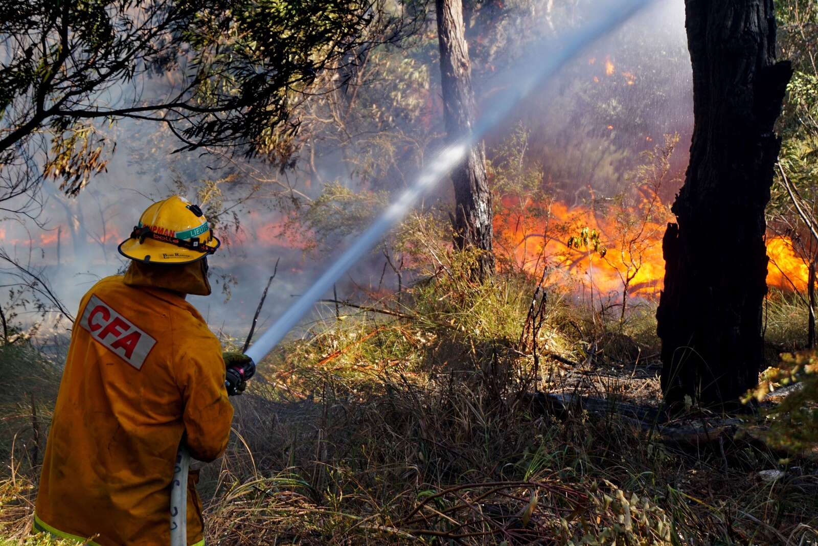 Fire restrictions set for northeast Victoria Cobram Courier
