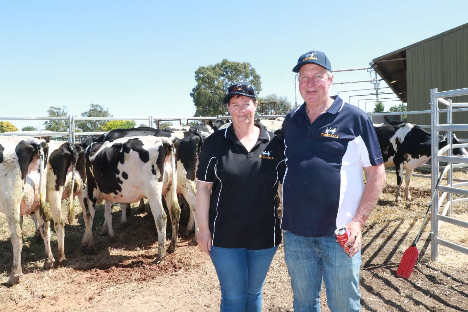Frosty a hot prospect | Dairy News Australia