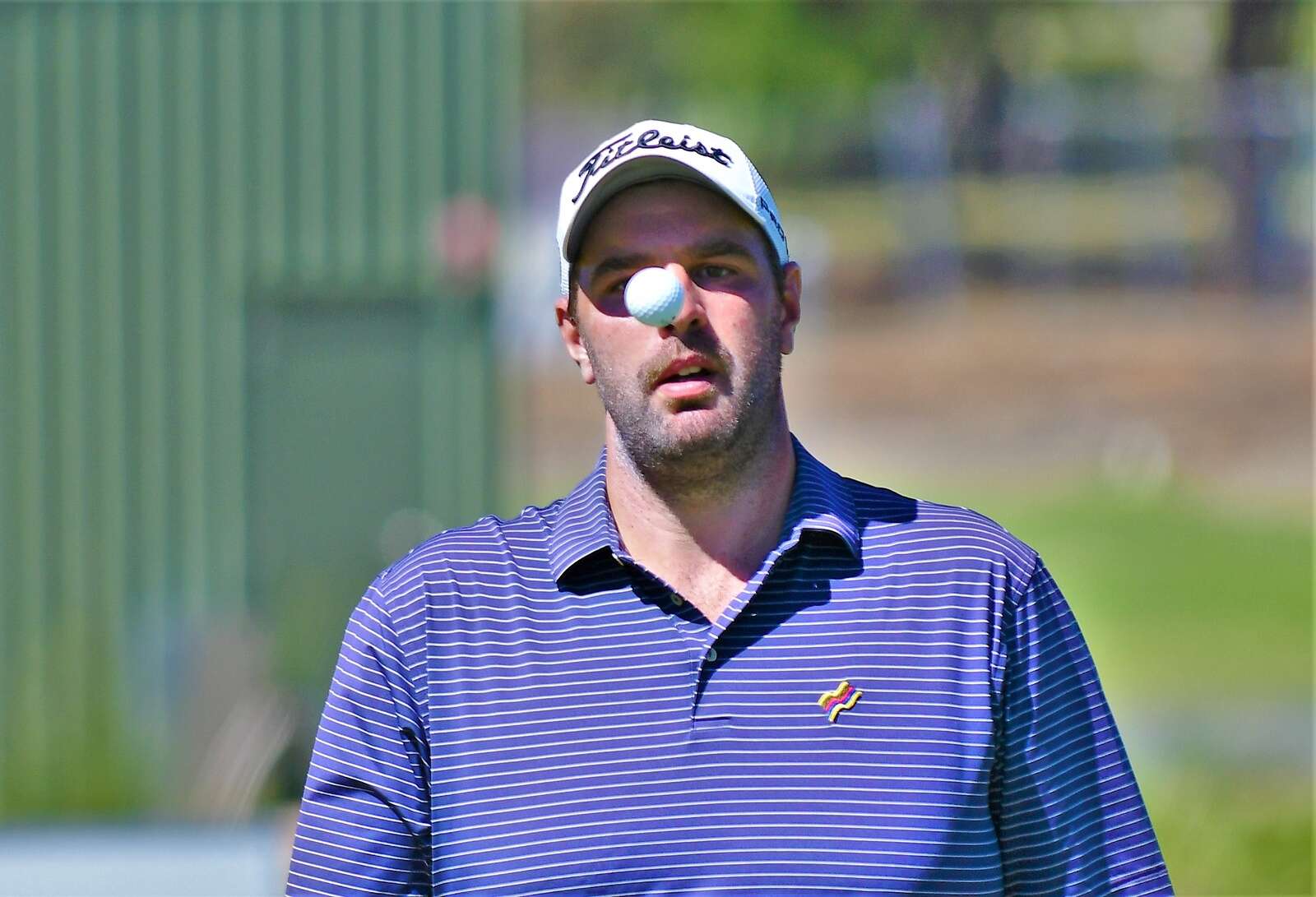 nsw-open-in-pictures-dairy-news-australia