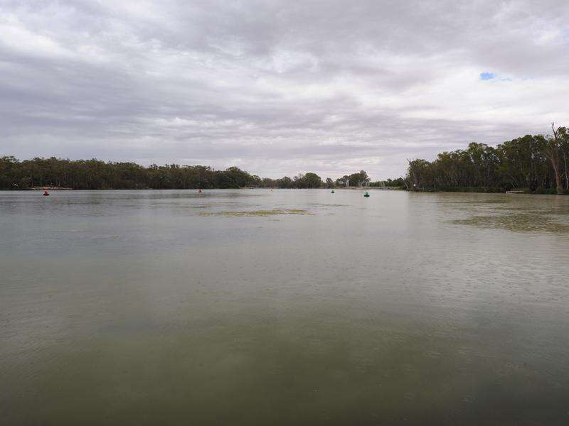 Heavy Vic rain brings SA Murray flooding | Kyabram Free Press