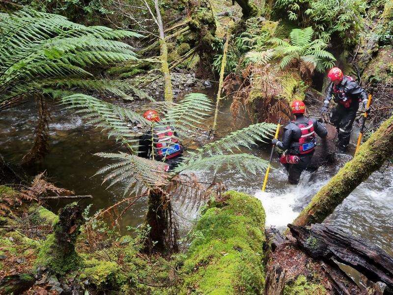 Search for Belgian bushwalker in Tasmania suspended | Country News