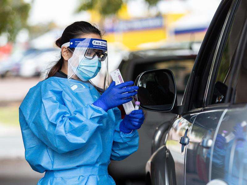 WA detects 13 new local COVID19 cases Dairy News Australia