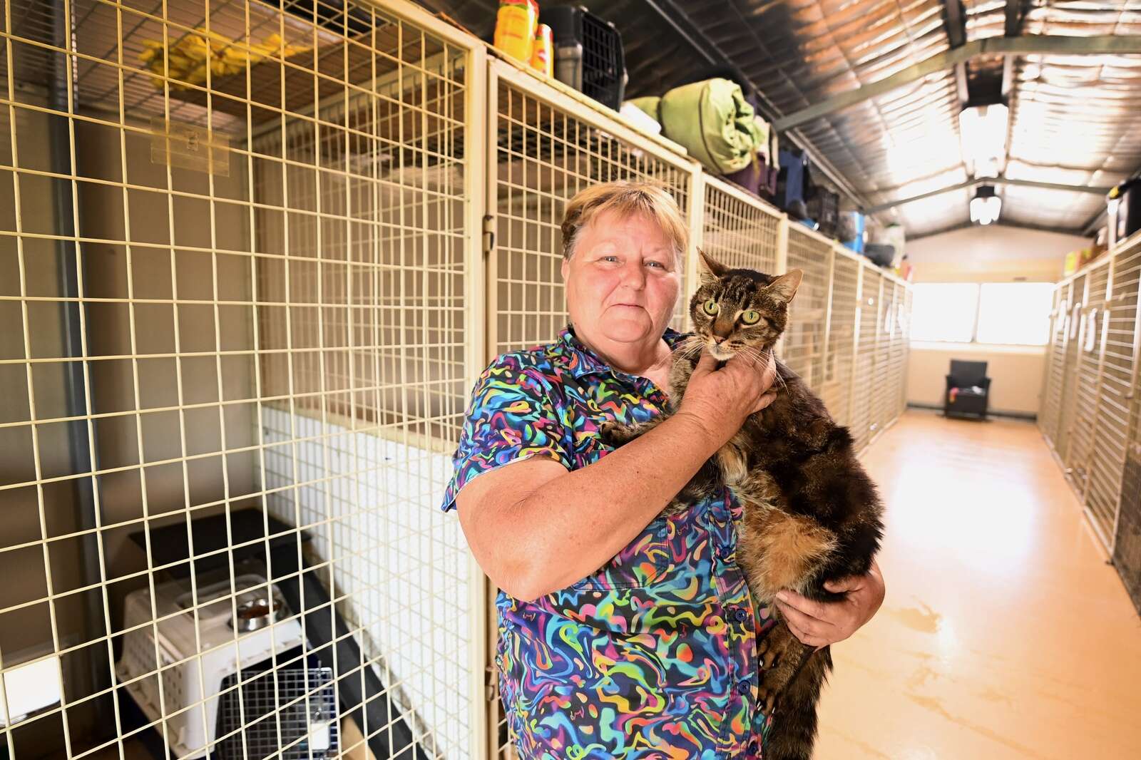 Pets find sanctuary as fires rage