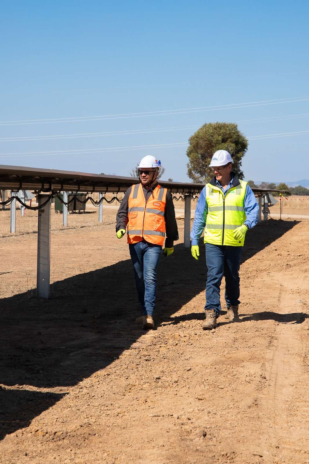 Victoria’s biggest solar farm gets community feedback | Country News