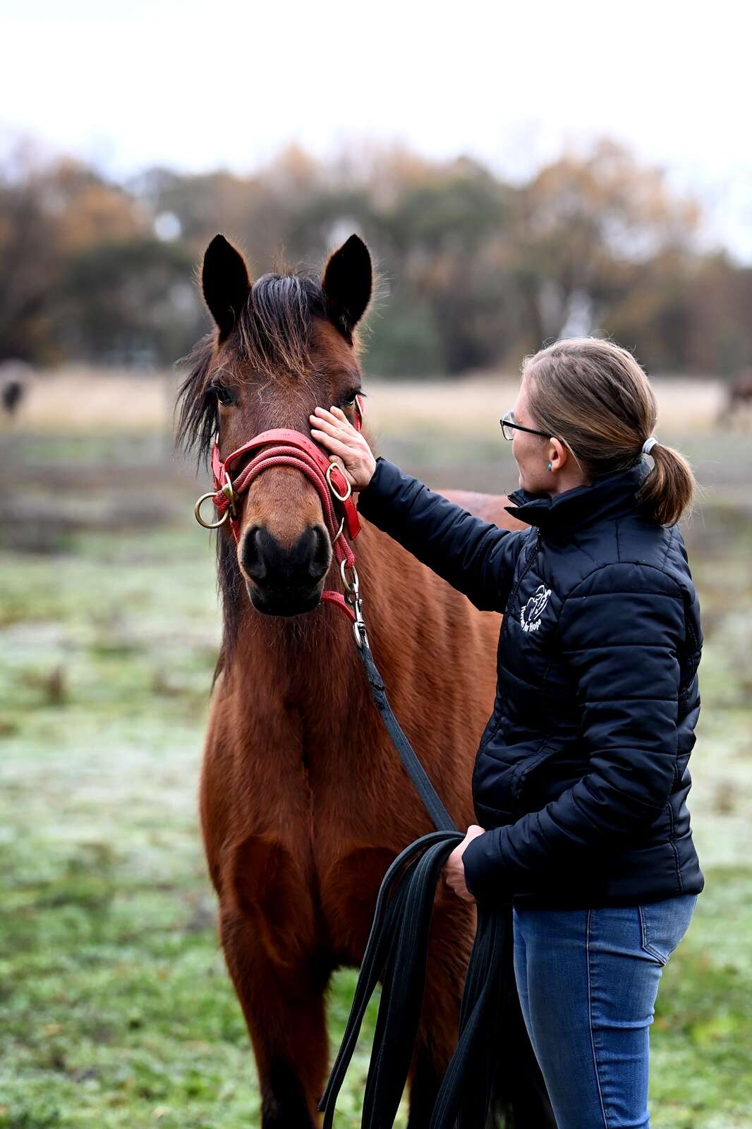 Raffle round-up: Shepparton Club lends a helping hoof | Dairy News ...
