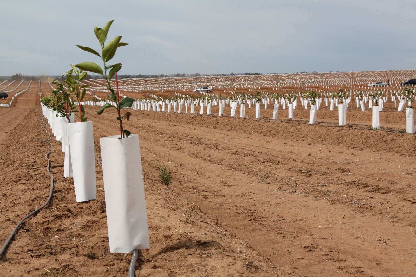 Opposition promises $15m horticulture boost | Seymour Telegraph