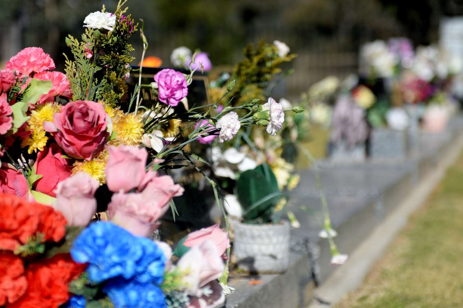 revolutionising-remembrance-at-cobram-cemetery-deniliquin-pastoral-times