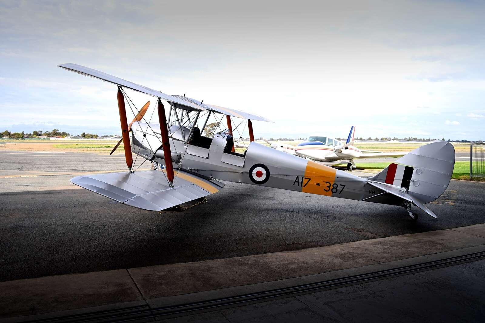 Like a moth to a plane | Benalla Ensign