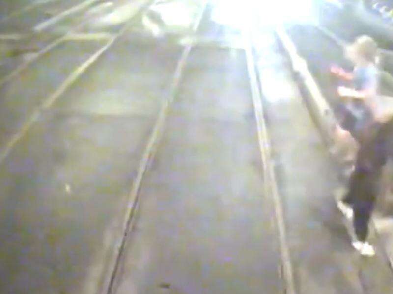 Trio accused of tram track attack on little penguin | Shepparton News