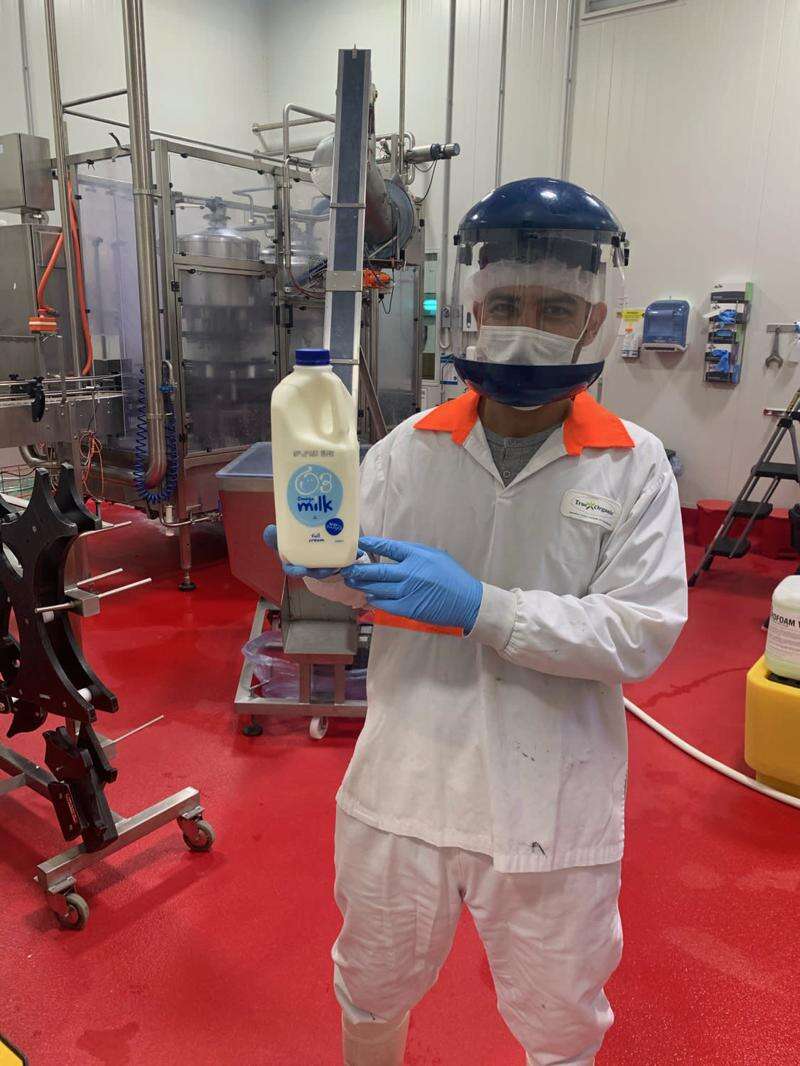 New milk variety from Kyabram farms to hit supermarket fridges Country News