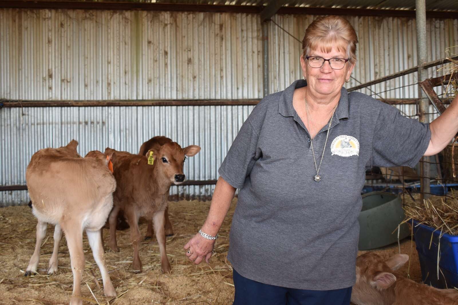 A new lease on dairy farm life Country News