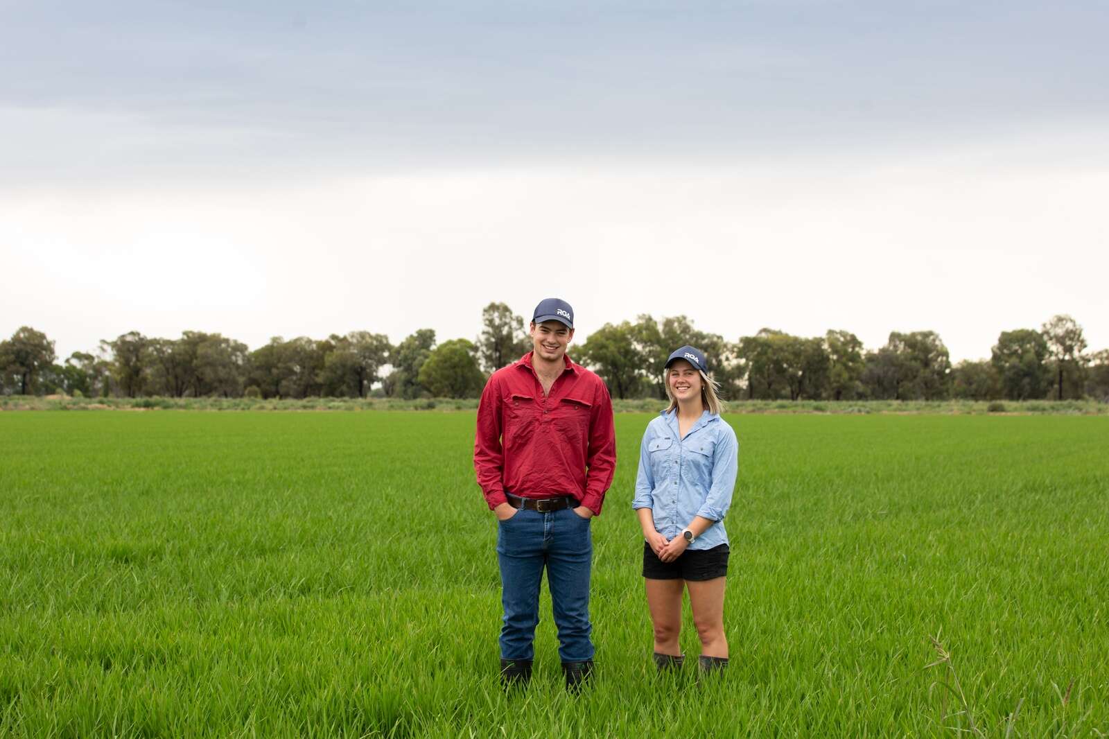 Rice scholarships now open Southern Riverina News
