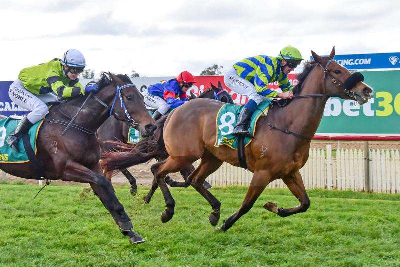 Echuca Racing Club turns it on for another successful meet | Riverine ...