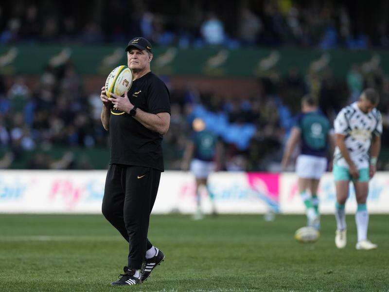 Springboks cast selection net wide for Portugal Test | Kyabram Free Press