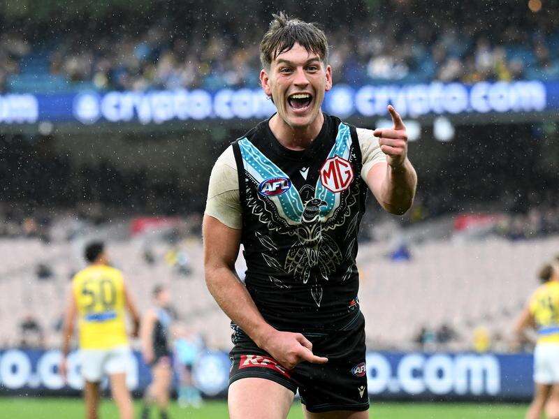Butters stars as Power hang tough against Richmond | Shepparton News